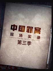 罪案現場實錄第三季(全集)