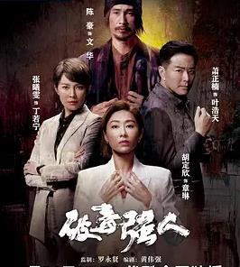 破毒強人粵語第01集