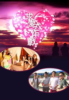 求愛大作戰2013(全集)
